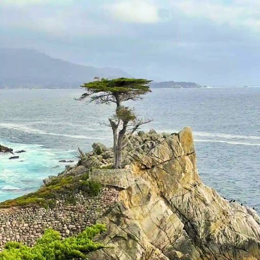 Why is caramel by the sea famous